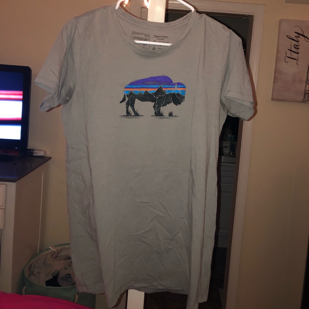 Patagonia tee shirt